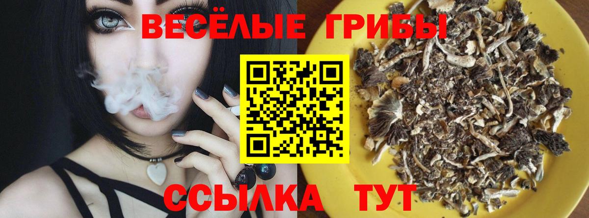 Псилоцибиновые грибы Psilocybine cubensis Приморско-Ахтарск